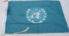 Flagga FN UN Original