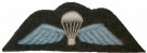 Para Wings Enlisted WW2 repro