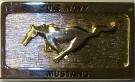 Bältesspänne US Navy Mustang