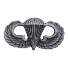Jump Wings Para Basic Blank US Army Original