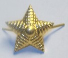 Mössmärke Stjärna CCCP Sovjet Stor Guld
