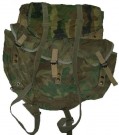 Buttpack Field Pack US Army Woodland