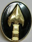 Delta Force Special Ops Command Pin