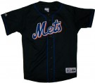 New York Mets #31 Piazza MLB Baseball skjorta: L
