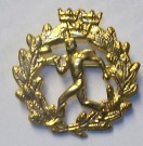 Medalj Utmärkelse Soldatprov Marsch Guld Sverige