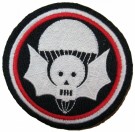 101st/502nd Airborne Inf Reg Tygmärke