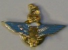SAS Pin Badge