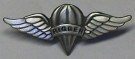 Pilotvingar USAF Air Force Rigger
