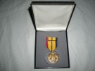 Combat Action USMC USN medalj set x2