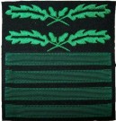 Dienstgradabzeichen Oberführer repro