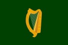 Flagga Ireland Leinster 150x90cm
