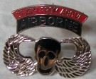 Jump Wings Airborne Death from above Pin