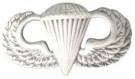 Jump Wings Para Basic Blank US Army