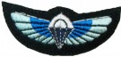 Para Wings SAS Tygmärke Färg