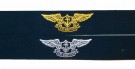 Insignia USN US Navy Air Warfare