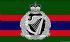 Flagga Royal Irish Regiment Irland 150 x 90cm