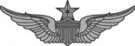 Pilotvingar USAAF Army Air Force Pilot Aviator