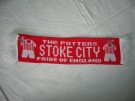 Stoke City Mini Halsduk