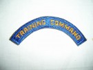 Training Command båge USAF färg