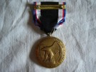 WW1 Occupation of Germany Medalj