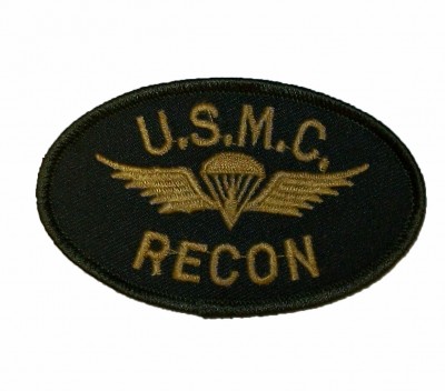 Para Wings Recon USMC US Marines Tygmärke