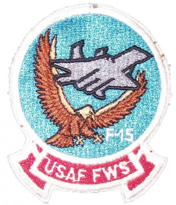 F-15 Fighter Wing Sqdn USAF Tygmärke